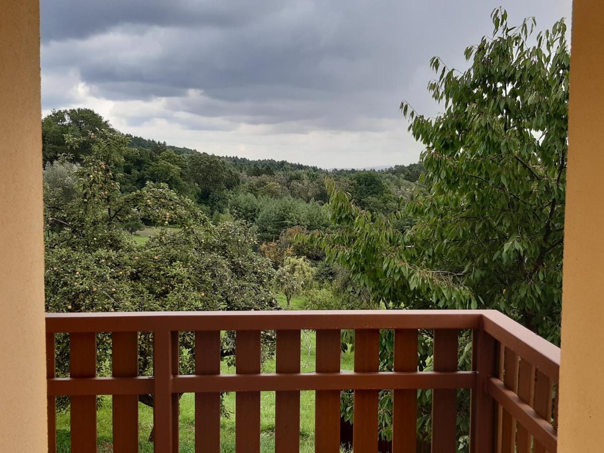 Apartmany U Zvonicky Prachov Bagian luar foto