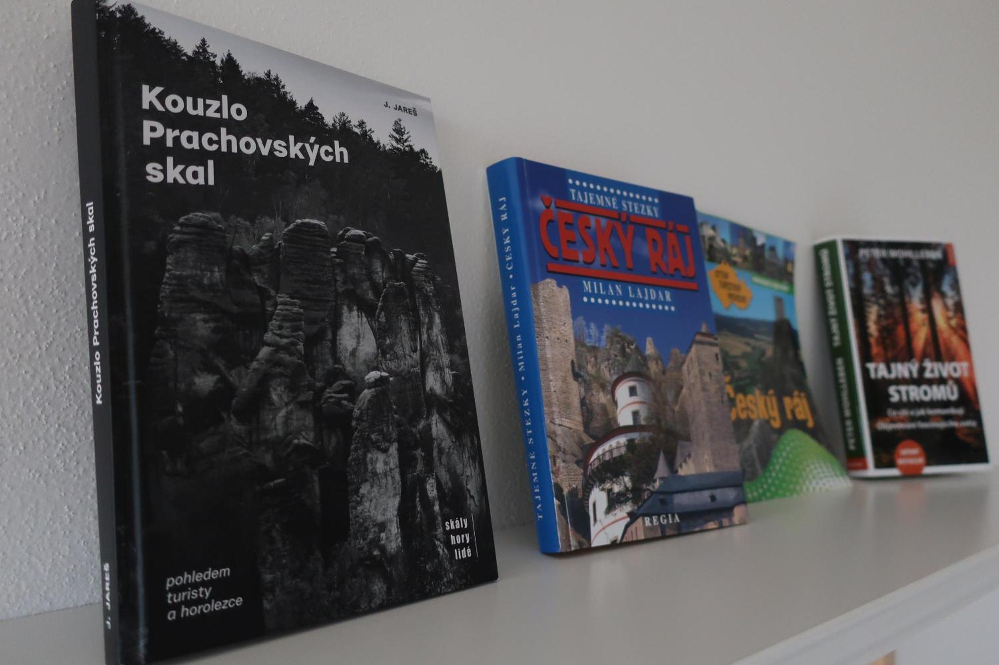 Apartmany U Zvonicky Prachov Bagian luar foto